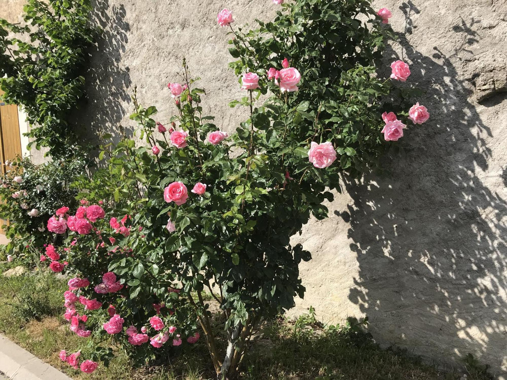 Gite Renove Avec Jardin, Proche Loisirs Et Commerces, A Une Heure De Nancy Et Metz - Fr-1-584-168 Autrepierre Zewnętrze zdjęcie